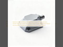 Εκρηκτικό Ασφαλές Μηχανικό Σφραγισμένο Τελικό Κάλυμμα IP66 Προστασία Ατσάλι Ατσάλι Κάλυψη Τελικό Κάλυμμα Ασφαλής από σκόνη Αδιάβροχο Μηχανικό Συσκευές Προσαρμοσμένα εξαρτήματα Ασφαλής από έκρηξη